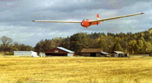Bergfalke in för landning. Foto: Hans Broberg.