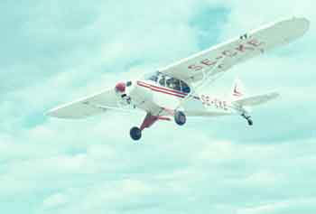 Super Cub.