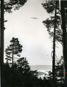 På hanget i Steinfjorden. Foto: Hans Broberg.