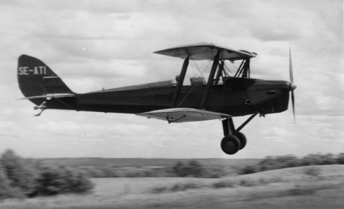 Tiger Moth.