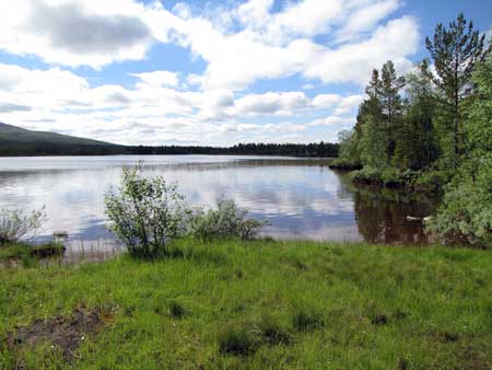 Vy åt höger från udden, dvs åt väster. Foto: Rolf Broberg 2012.