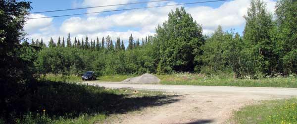 Kraftstationsvägen och det slybevuxna området bakom bilen, sett från en skogsvägsom går ner till sjön. Foto: Rolf Broberg 2012.