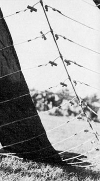 Hur bokstäver är hopknäppta. Foto: Torgil Rosenberg i Flyg-Horisont 1967:4 sid 8.