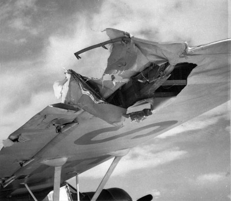 Vingskadan efter orkanen. Foto Tore Jonsing via Jean Karlsson