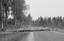 1961. Foto: Lars Sandblom