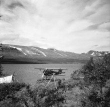 Foto: Arne Tengler