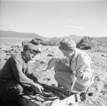 Foto: Arne Tengler
