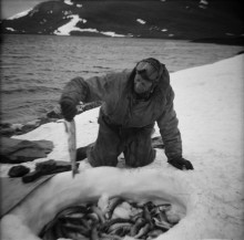 Foto: Arne Tengler
