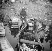 Fisken vägs med besman. Foto: Arne Tengler