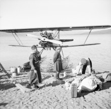 Foto: Arne Tengler