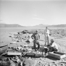 Foto: Arne Tengler