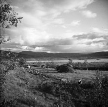 Foto: Arne Tengler