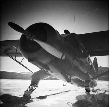 Foto via Arne Tengler