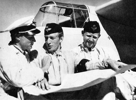 Alm, Magnusson, Brink